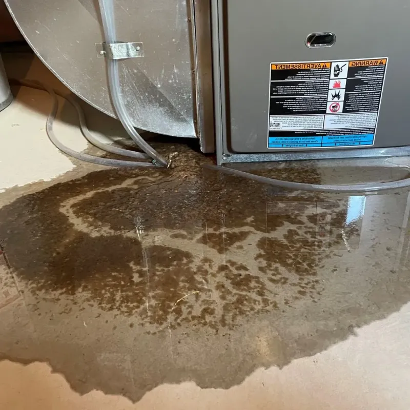 Pipe Burst and Leak Restoration in Sullivan County, NY
